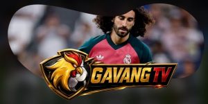Dự Đoán Trận Elche CF Vs Real Madrid 02h30 16/09